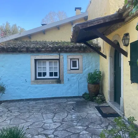 Apartman Casa Lucia Yellow *